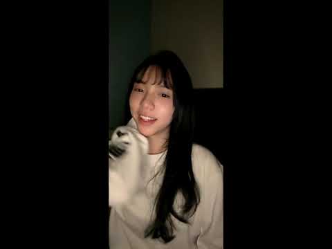 Thumbnail for Live IDN Aralie JKT48 - 16 Desember 2025 | 22.52 WIB